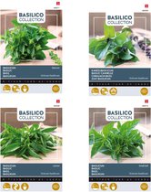 Kruidenzaden voor 4 soorten Basilicum soorten | Basilicum Lemon |Kaneelbasilicum | Basilicum Bascuro