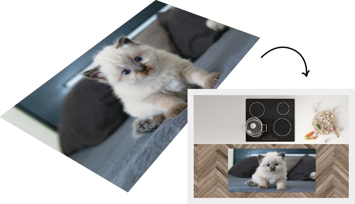 KitchenYeah Keukenloper - Loper keuken - Kitten - Kat - Dier - 120x60 cm - Keukenloper vinyl Multicolor