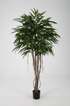 Kunstplant Royal Longifolia - topkwaliteit decoratie - Groen - zijden tak - 170 cm hoog