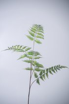 Kunstblad Varen Palm - topkwaliteit decoratie - Groen - zijden tak - 106 cm hoog