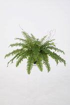 Kunstplant Varen Palm - topkwaliteit decoratie - Groen - zijden plant - 30 cm hoog