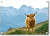 Schattige Schotse Hooglander - Tuinposter 70x50 - Wanddecoratie - Dieren - Natuur