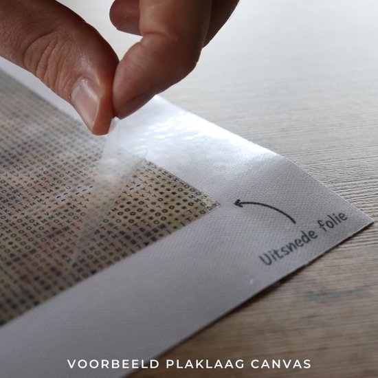 Peinture au Diamond - Coucher de soleil derrière la porte - Fabriqué aux Pays- Nederland - 30 x 40 cm - matériel de toile - pierres carrées - Livré sous 2-3 jours ouvrables