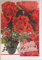 Hartelijk gefeliciteerd! Een perfecte wenskaart voor de mensen die van rode rozen houden! Een leuke kaart om zo te geven of om bij een cadeau te voegen. Een dubbele wenskaart inclu