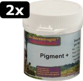 2x PIGMENT PLUS 100TBL
