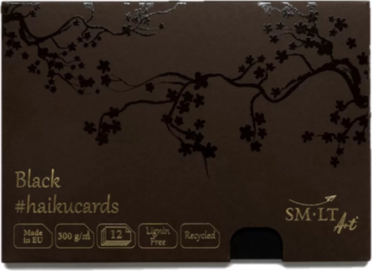 SMLT schilderpapier Haiku kaarten A5 zwart 300gr 12 vellen.