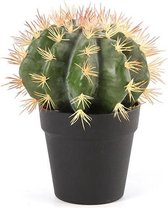 Cactus - Kunstplant - 29cm - Groen - Kunststof - Ø14cm - Melocactus