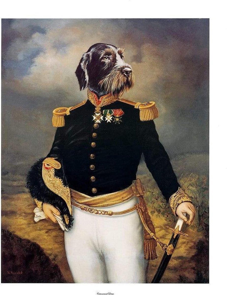PGM Kunstdruk Thierry Poncelet - Ceremonial Dress 66x86cm Divers