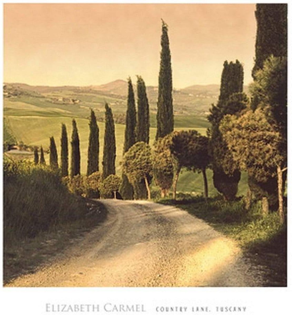 PGM Kunstdruk Elisabeth Carmel - Country Lane, Tuscany 45x50cm Divers