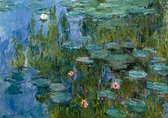 Claude Monet - Seerosen Kunstdruk 29,7x21cm