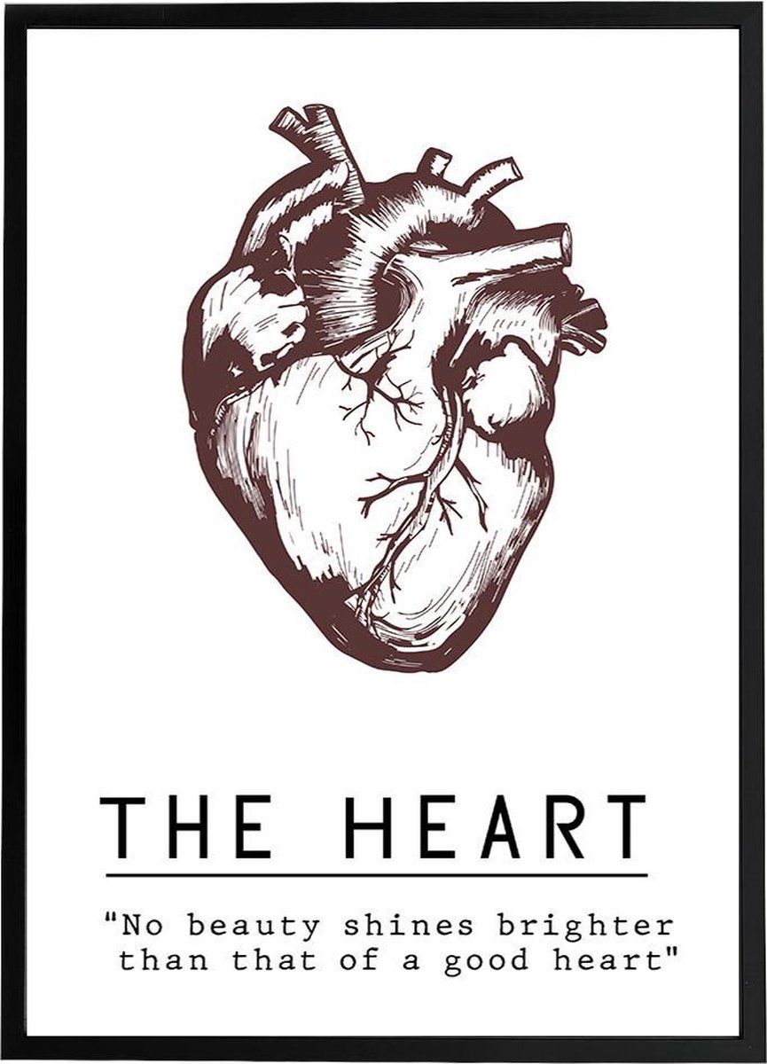 Poster 'The Heart'' - Anatomie Hart - Bordeaux Rood - Valentijn - Liefde - Large 70x50