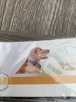 Halsband met led verlichting voor huisdier hond