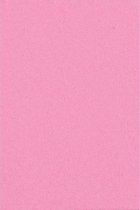Lichtroze Tafelkleed Plastic 274x137cm