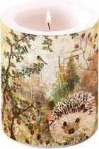 Ambiente - Kaars - Big - Autumn Hedgehog - 12 cm hoog - 75 branduren