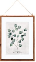 Glazen Frame Met Botanische Illustratie Eucalyptus - Poster Plant Print met Lijst - 38x48 cm