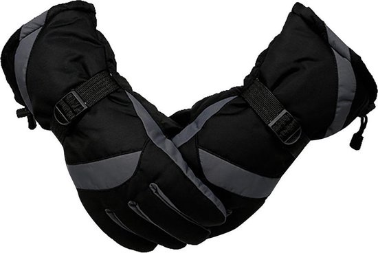 Ski Handschoenen - Grijs