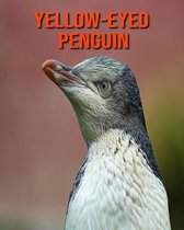 Yellow-Eyed Penguin