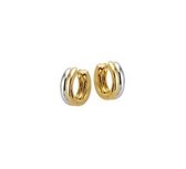 vDam Gouden Creolen Bicolor 4207927