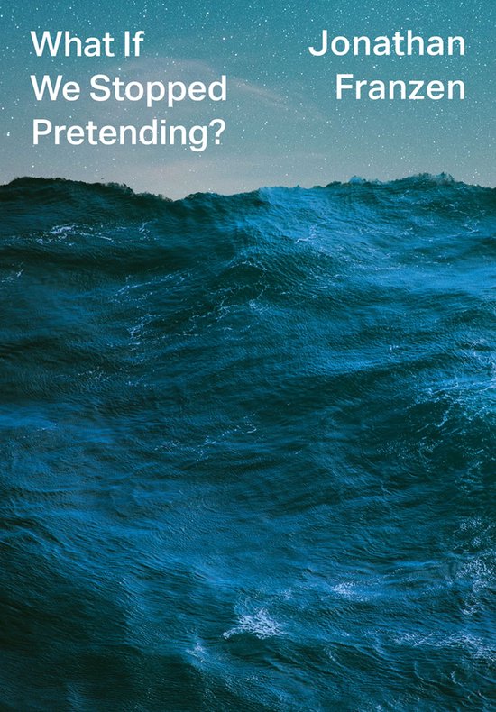 What If We Stopped Pretending? - cover