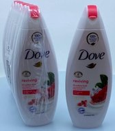 Dove Shower Gel 250 ml - Reviving (6 stuks)