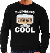 Dieren kudde olifanten sweater zwart heren - elephants are serious cool trui - cadeau sweater olifant/ olifanten liefhebber M