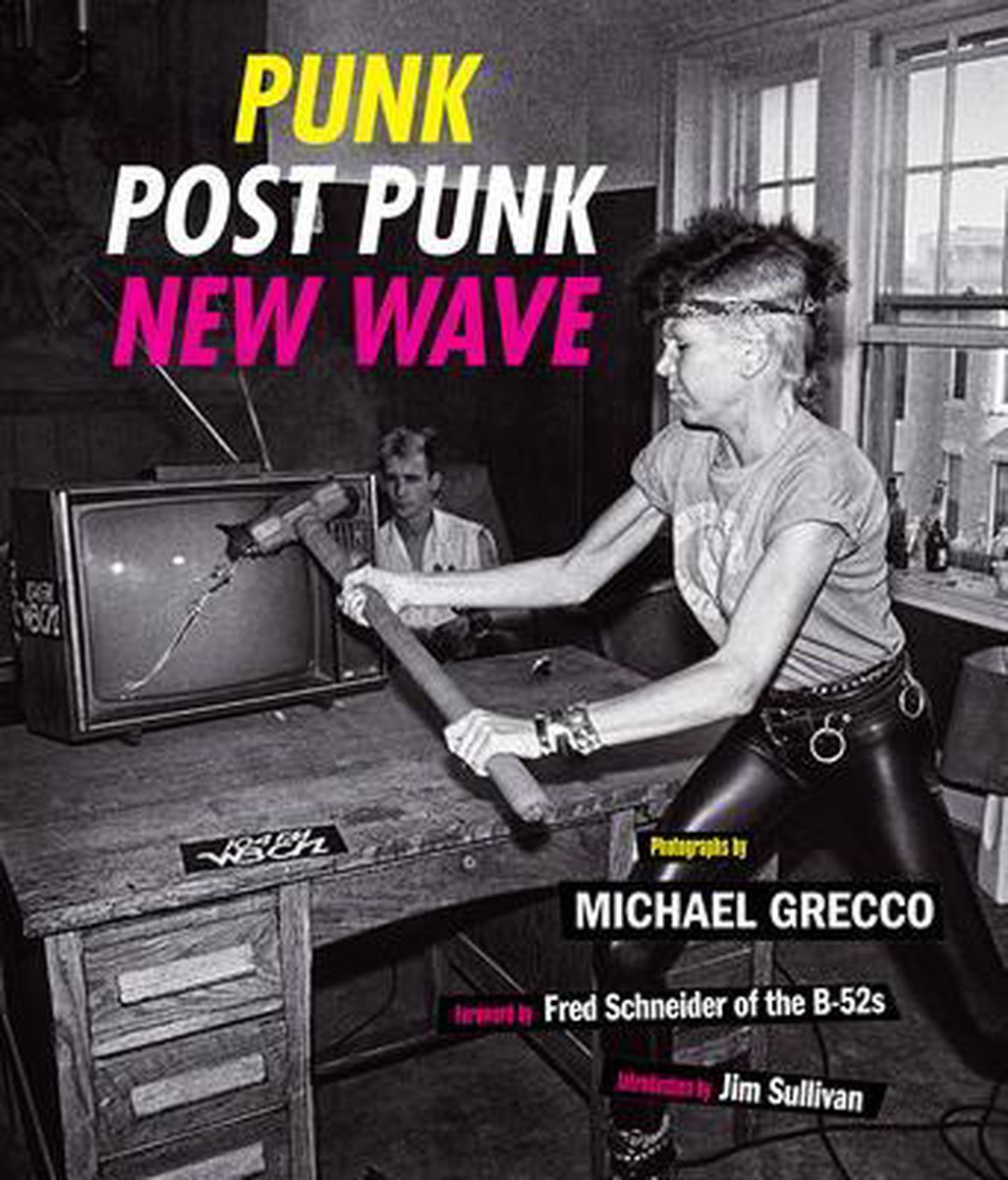 Punk Post Punk New Wave Michael Grecco 9781419748547