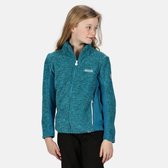 Highton Winter gemêleerde fleece met rits over de volle lengte van Regatta voor kinderen, Sportjas, helder turquoise blauw methyleenblauw