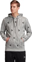 Adidas Grijze Heren Trui MHS GFX PO Q3 FR7154 - Maat M