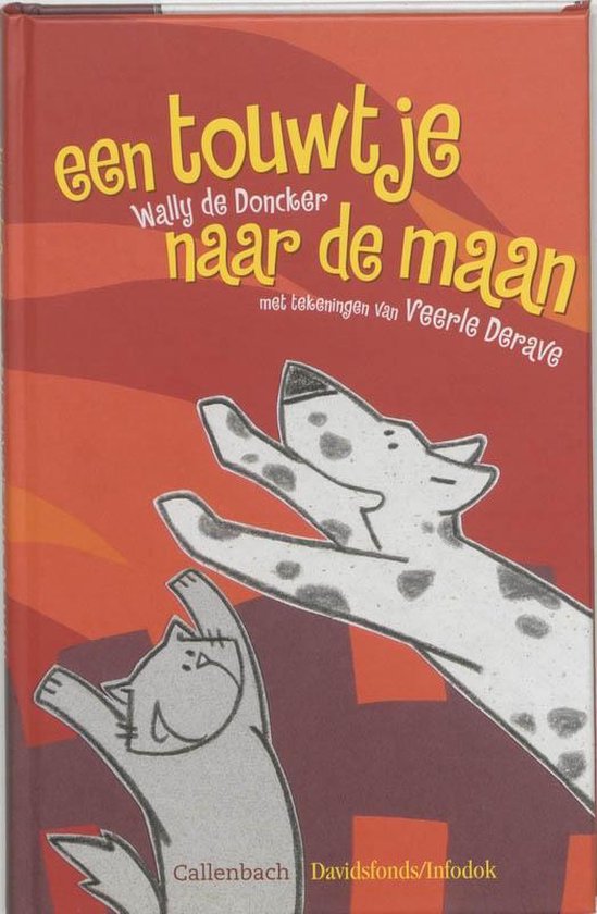 Cover van het boek 'Een touwtje naar de maan'