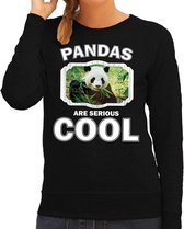 Dieren pandaberen sweater zwart dames - pandas are serious cool trui - cadeau sweater panda/ pandaberen liefhebber 2XL
