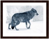 Foto in frame Grijze wolf, 3 maten, Premium print