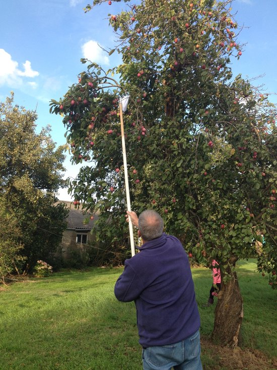 Talen Tools - Fruitplukker - Vruchtenplukker - Zonder steel van Merkloos	 — afbeelding 4