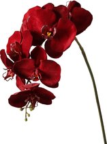 Viv! Home Luxuries Orchidee Butterfly - zijden bloem - donker rood - 86cm - topkwaliteit