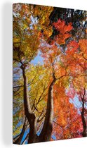 Érable rouge à l'automne au Japon Toile 90x140 cm - Tirage photo sur toile (Décoration murale salon / chambre) / Arbres Peintures sur toile