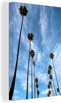 Les rangées de palmiers devant une toile de ciel bleu 60x90 cm - Tirage photo sur toile (Décoration murale salon / chambre) / Arbres Peintures sur toile