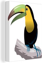 Une illustration d'une toile toucan 60x80 cm - Tirage photo sur toile (Décoration murale salon / chambre)
