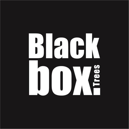 Guirlande Black Box Trees Glendon led à batterie verte 30L TIPS 150 -