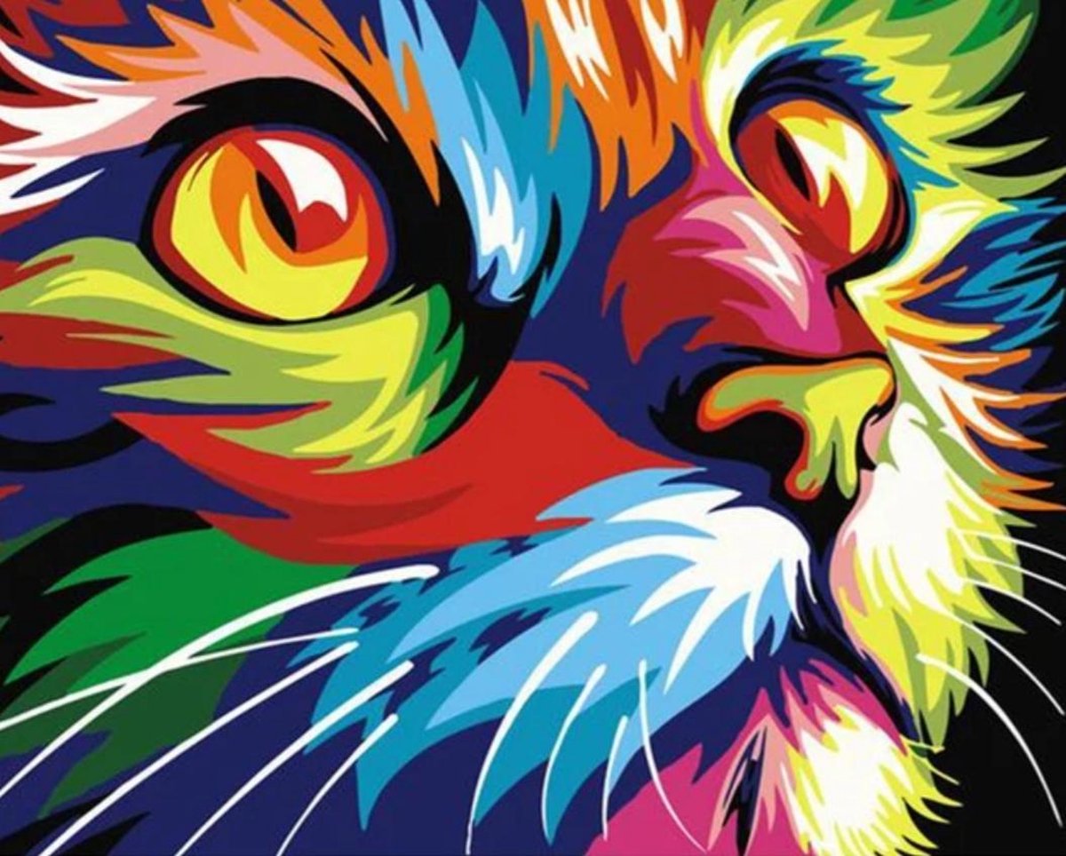 2.0 Products - Dieren - Schilderen op nummer volwassenen - Paint by number - 40 x 50 CM - Katten - Regenboog