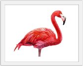 Foto in frame Getekende roze flamingo II, 3 maten, Premium print