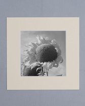 Passe Partout 50x50 Creme - Fotomaat 40x40 cm
