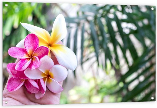 Tuinposter – Bloemen met Tropische Achtergrond - 120x80cm Foto op Tuinposter  (wanddecoratie voor buiten en binnen)