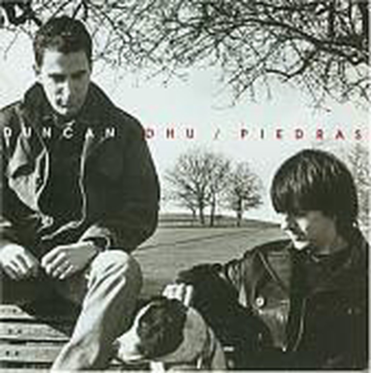 Piedras