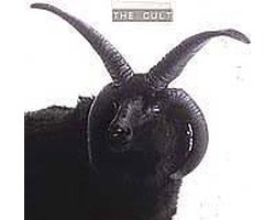 Cult