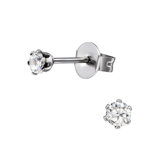 Aramat jewels ® - Oorbellen transparant zirkonia chirurgisch staal zilverkleurig 3mm