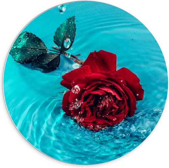 Forex Wandcirkel - Rode Roos in Water - Foto op Wandcirkel (met ophangsysteem)