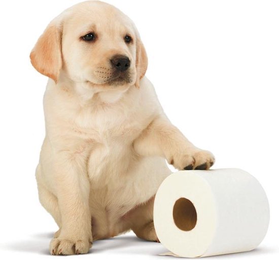 Page toiletpapier - 42 rollen - Kussenzacht wc papier (3-laags) - voordeelverpakking - Page