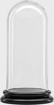 Coupole en Verres avec socle en bois noir H 40 cm x P 19 cm