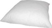 Pillow 60x70cm 700gr White