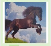 Diamond Painting Fries Paard 40x50 Vierkante steentjes