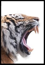 Punt. Poster - Angry Tiger - 59.4 X 42 Cm - Oranje